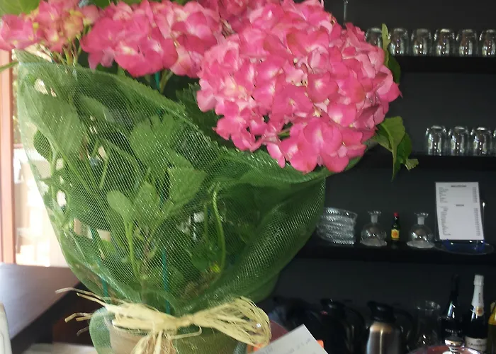 ベッド・アンド・ブレックファスト Aida Charming ローマ