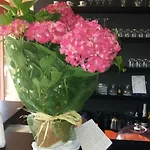 住宿加早餐酒店 阿依达迷人客房 罗马